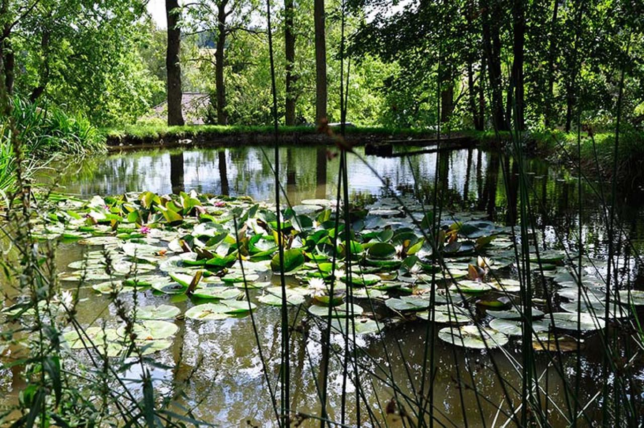 Landhausgarten Bunzmann Berg  외부 사진